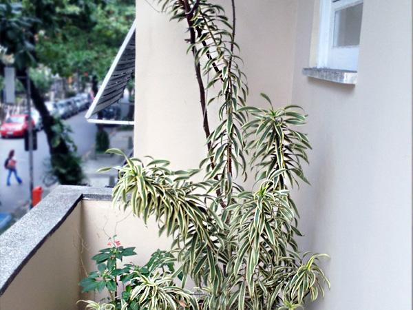 Luiz Leblon Guest House Rio de Janeiro Zewnętrze zdjęcie